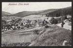 Manebach Thür. Wald Panorama 1921