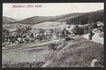 Manebach Thür. Wald Panorama 1921 