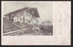 Neubichler Alpe 1898