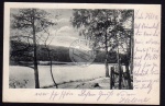 Terassen Schlachtensee Alte Fischerhütte 1910
