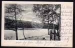 Terassen Schlachtensee Alte Fischerhütte 1910 