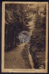 Torfhaus Altenau Goetheweg 1922