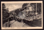 Altenbrak Bodetal Dorfstrasse Kuhherde 1925