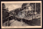 Altenbrak Bodetal Dorfstrasse Kuhherde 1925 