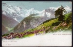 Mürren u. die Alpen 1905 Mürren et les alpes