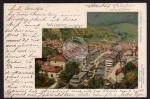 Wildbad Künstlerpostkarte 1898