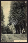 Rengsdorf 1907 Elisenruhe