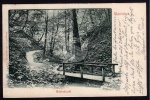 Warnicken Wolfschlucht 1909