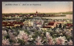 Baumblüte Werder Blick v.d. Wachtelburg