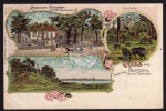 Paulsborn Restaurant Saubucht Wildschwein 1902 