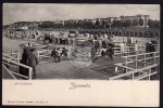 Zinnowitz Strand Strandkorb Herrenbad 1900