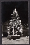 Bad Wurzach Weihnachtsbaum Markt Brunnen 