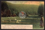 Finsterbergen Gänseliese Gänsewiese 1907