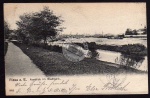 Riesa Elbe Im Stadtpark 1904 Elbansicht