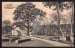 Neue Mühle Gommern Baum Histor. Eiche 1928