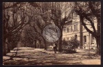 Groß Schweidnitz Verwaltung 1918 Allee