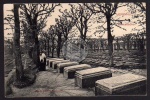 Herrnhut Gottesacker Zinzendorf Gräber 1914