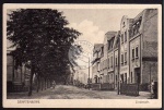 Senftenberg Lindenstr. Geschäft W. Geisendorf