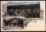 Jonsdorf Gasthof Hotel Weisser Stein ca. 1910