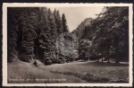 Oberhof Thür. Räuberstein silbergraben