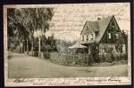 Colditz Waldwärterhaus am Waldeingang 1925