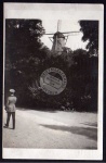 Potsdam SanssouciWindmühle Fotokarte 1911
