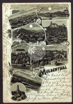 Muldenthal 1898 Penig Lunzenau Wolkenburg Wald
