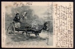 Kutsche Esel Damen 1898