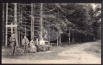 Dahme Holstein Wald bei Bokkorst Wanderer 1910 