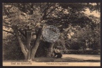 Eberswalde Promenade am Kriegerdenkmal 1911