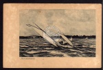 Künstlerkarte Auf der Havel Segler Lübka 1899