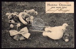 Neujahr Tauben Hufeisen Glück 1904