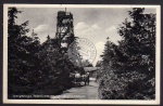 Smrk Tafelfichte Isergebirge Aussichtsturm