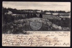 Reiboldsgrün 1903