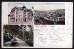 Aue Hotel Blauer Engel Flossgraben 1905