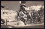 Roßhüttenalm m. Traweng Mittendorf 1914 Winter