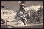Roßhüttenalm m. Traweng Mittendorf 1914 Winter