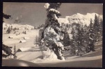 Roßhüttenalm m. Traweng Mittendorf 1914 Winter 