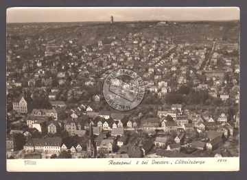 Radebeul bei Dresden Lößnitzberge Hahn Foto 