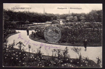 Gelsenkirchen Stadtgarten Rosenanlagen Rose 