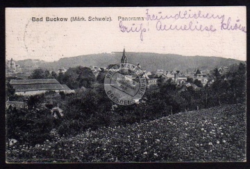 Bad Buckow Märk. Schweiz Panorama 1923 