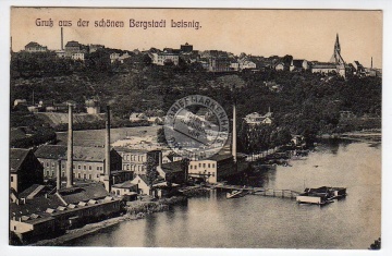 Bergstadt Leisnig 1910 Gesamtansicht 