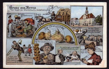 Borna Zwiebel Zwiebelmarkt Zwiebelzucht 