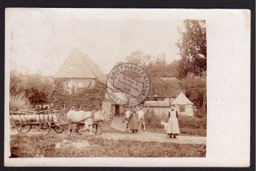 Köttwitzsch Bz. Leipzig 1910 Bauernhof Kuh 