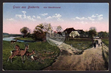 Biederitz Alte Oberförsterei Reh 1922 