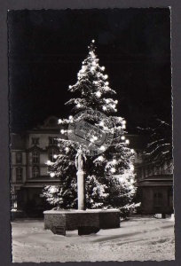 Bad Wurzach Weihnachtsbaum Markt Brunnen 