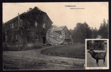 Tambach Nesselberghaus Hirsch Der zahme Hans 