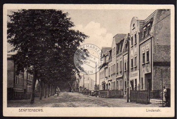 Senftenberg Lindenstr. Geschäft W. Geisendorf 