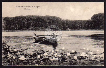 Stubbenkammer Rügen Herthasee Seerosen 1913 