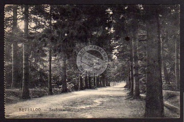 Beverloo Seufzerallee  Feldpost ca. 1918 